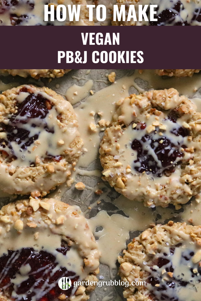 Vegan Peanut Butter and Jelly Pinterest Pin