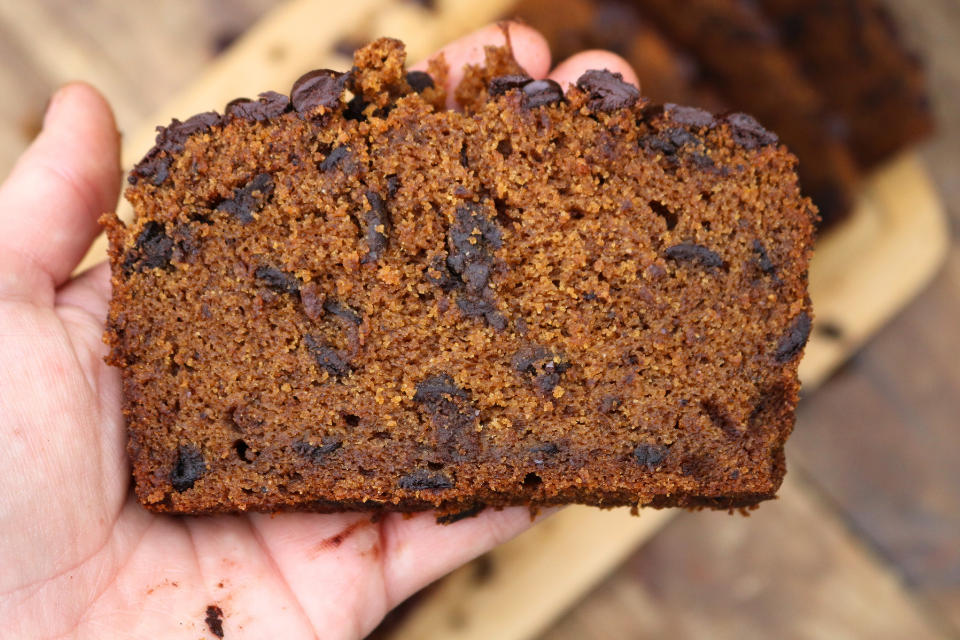 Chocolate Chip Pumpkin Bread